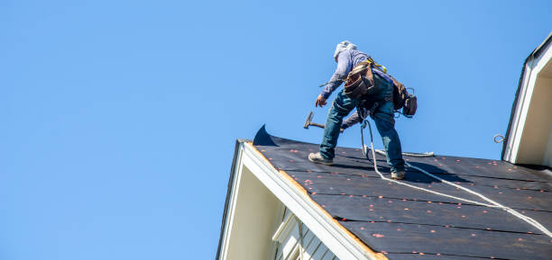 Best Roof Waterproofing Services  in Mccamey, TX